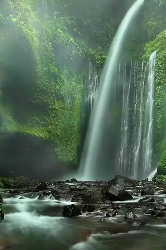 饥饿的松鼠救援